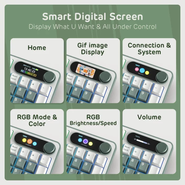 RKROYALKLUDGES98WirelessHot