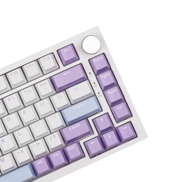 AJAZZ AK820 75% Gasket-Mounted Type-C Wired Mechanical Keyboard, White Purple - Image 3