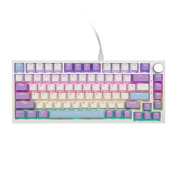 AJAZZ AK820 75% Gasket-Mounted Type-C Wired Mechanical Keyboard, White Purple - Image 2