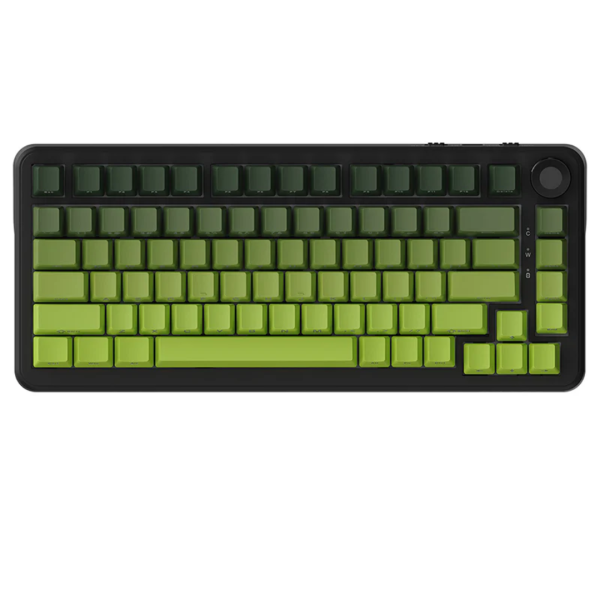 AJAZZ AK820 75% Gasket-Mounted Type-C Wired Mechanical Keyboard, Gradient Green