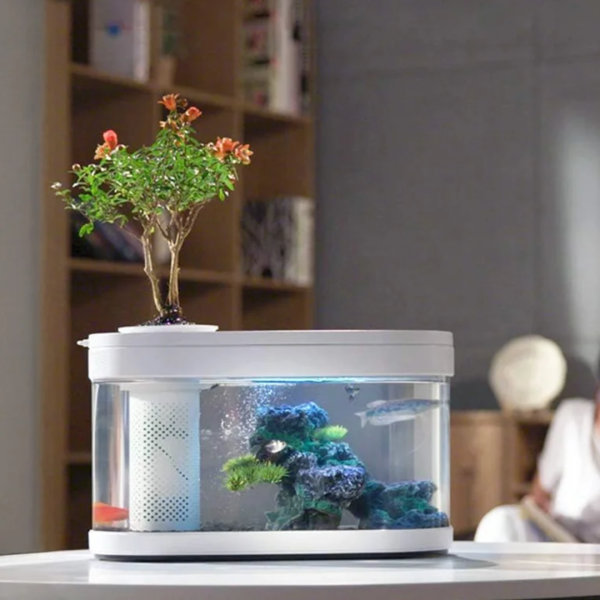 Xiaomi Geometry Fish Tank Transparent Aquarium - Image 3