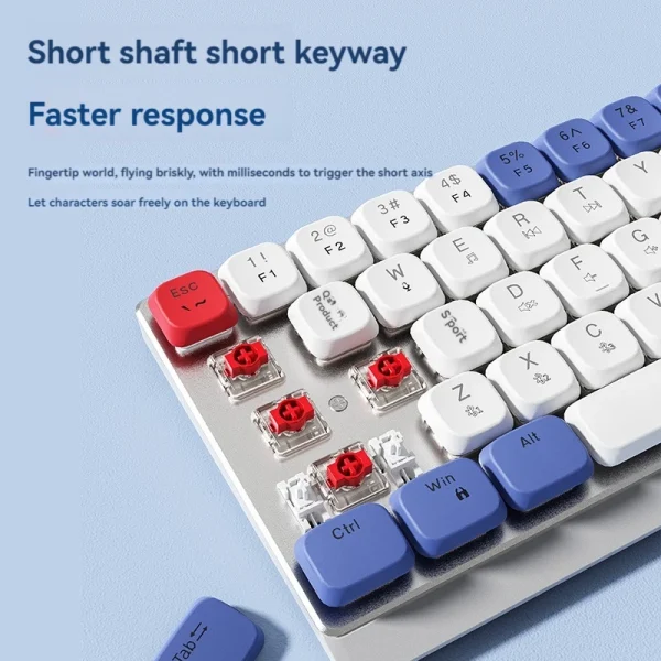 EWEADN MK68 Low Profile Tri-Mode Wireless Mechanical Keyboard - Image 7