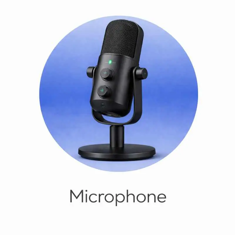 Mic