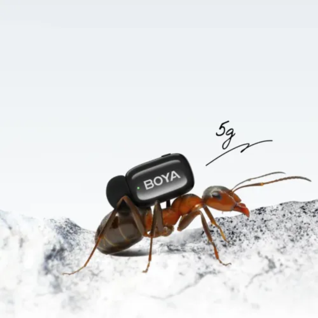 BOYA mini 2-04 Wireless Microphone (TX-2, RX-1) 4 BOYA mini 2-04 Wireless Microphone (TX-2, RX-1) - Image 4