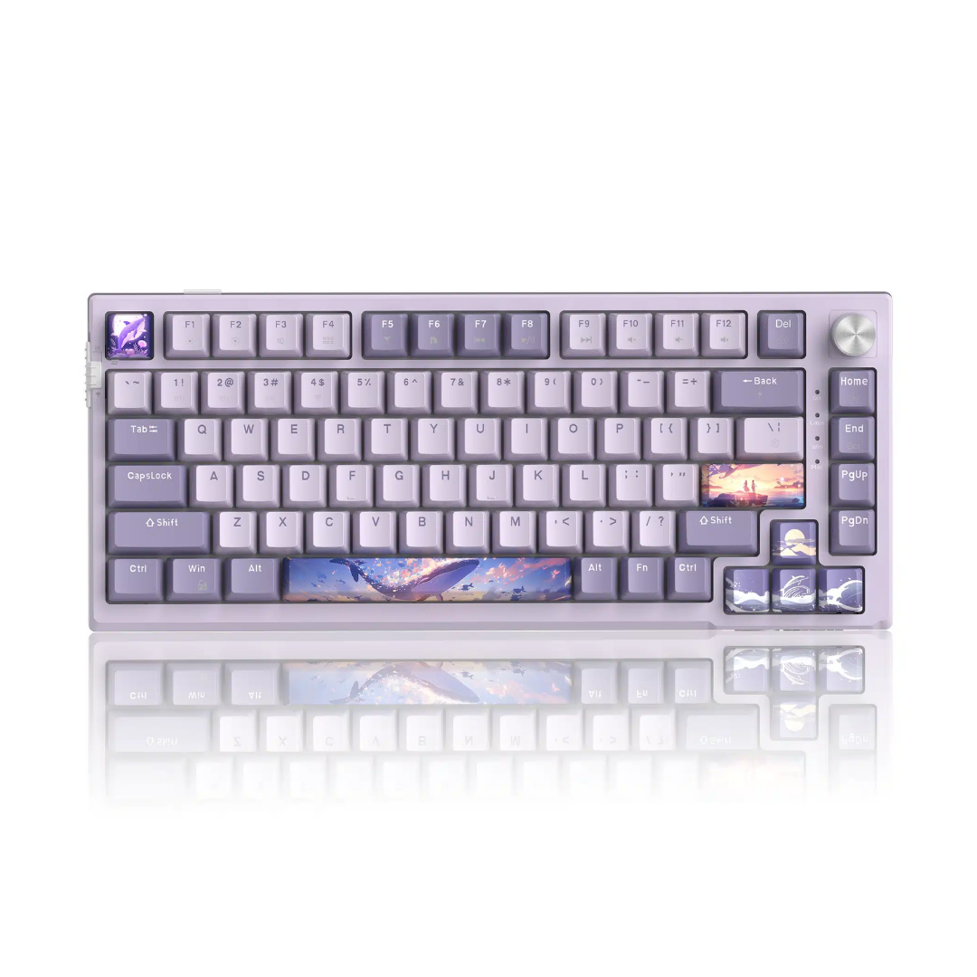 MageGee SKY81 Tri-mode RGB Wireless Mechanical Keyboard-Violet Switch 1 MageGee SKY81 Tri-mode RGB Wireless Mechanical Keyboard-Violet Switch