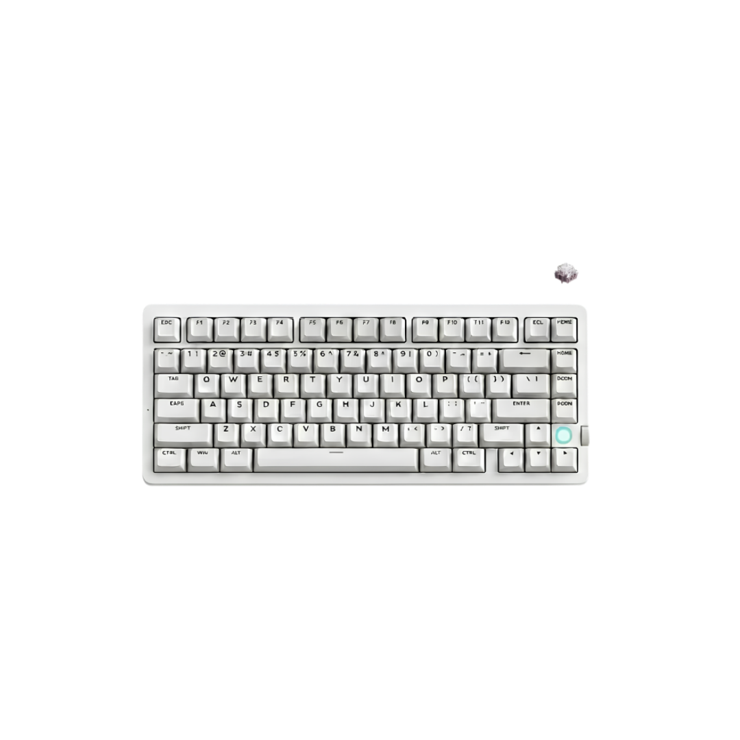MCHOSE G75 V2 Quick Gold V3 Tri-Mode Hot-Swappable Mechanical Keyboard 1 MCHOSE G75 V2 Quick Gold V3 Tri-Mode Hot-Swappable Mechanical Keyboard